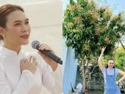 Ca sĩ Mỹ Tâm giàu đến mức nào?