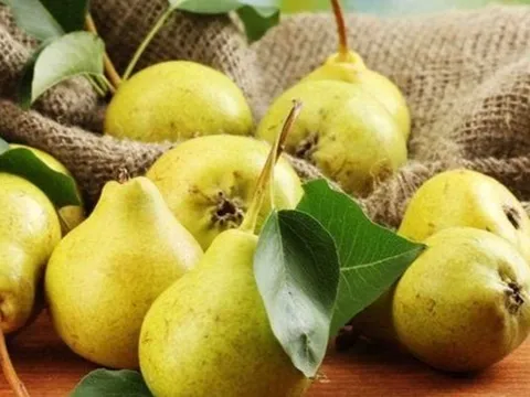 Gan nhiễm mỡ ăn ngay 4 thực phẩm này kẻo quá muộn: Độc tố tích lâu ngày có thể bốc hơi chỉ sau vài bữa!