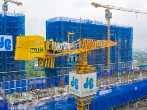 Xây dựng Hoà Bình thay Giám đốc Tài chính