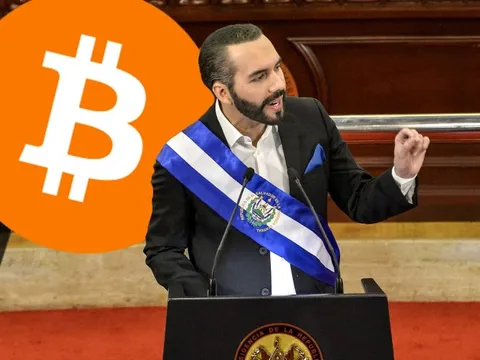 Lãi gần 450 triệu USD, người đàn ông này lại đem ‘quốc khố’ đi mua thêm bitcoin bất chấp cam kết với chủ nợ