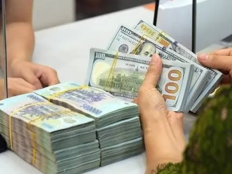 Năm ngoái, một số người Việt trong nước nhận khoảng 16 tỷ USD