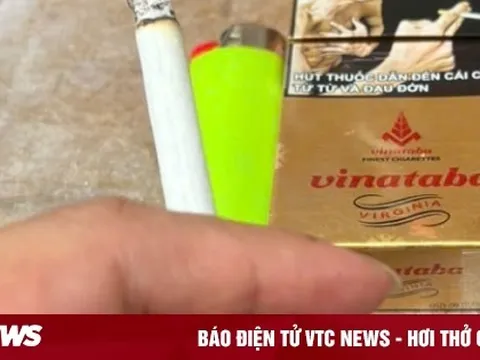 230 người Việt chết mỗi ngày vì thuốc lá