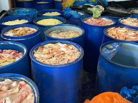 Phát hiện 4,9 tấn da heo bốc mùi hôi thối tại cơ sở sản xuất lạp xưởng