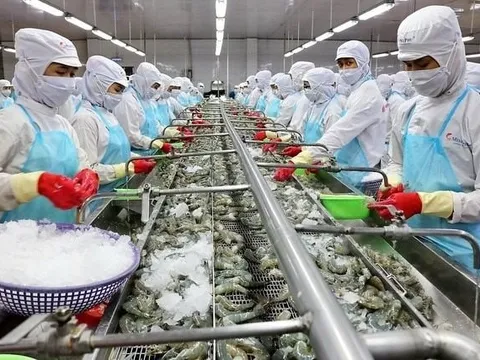 "Vua tôm" Việt Nam lập công ty con tại Australia