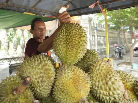 Không phải Thái Lan, làn sóng sầu riêng đang bùng nổ tại quốc gia Đông Nam Á: Công ty bất động sản, dầu cọ đổ xô đi trồng sầu riêng, giá bán tăng gần gấp 4 lần