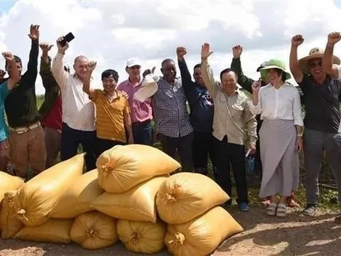Cuba muốn học hỏi một kỹ thuật của Việt Nam trong lĩnh vực nuôi sống một nửa nhân loại: Kỳ tích