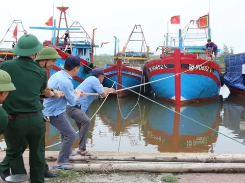 Hải Phòng, Quảng Ninh không chủ quan trước bão số 10