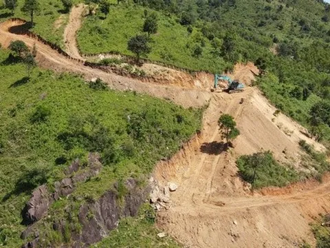 Tỉnh Gia Lai chỉ đạo làm rõ việc núi Chư Nâm bị tàn phá