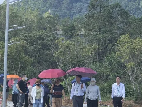 Dựng dự án 'ảo' phân lô bán nền, doanh nghiệp bị phạt hơn nửa tỷ đồng