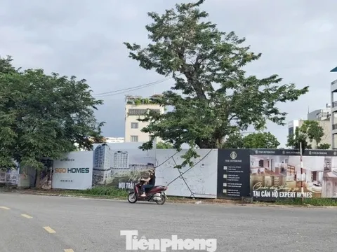 'Choáng' với giá chung cư ở tỉnh lẻ 'nhảy múa' lên đến 80 triệu đồng/m2
