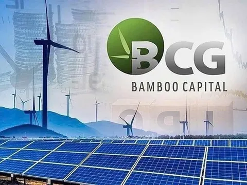 Bamboo Capital và Tracodi xin lỗi cổ đông