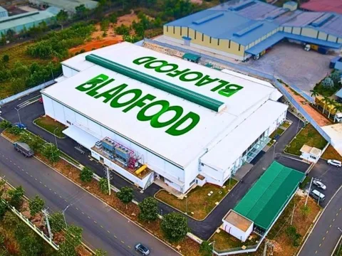Công ty Việt Nam đầu tiên xuất khẩu rau củ đông lạnh muốn niêm yết trên HOSE, giá cổ phiếu vượt đỉnh lịch sử