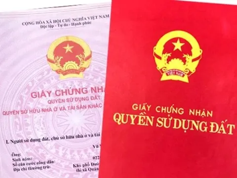 Hơn 2 triệu trường hợp thiếu thông tin đất đai sau hợp nhất, TPHCM kêu gọi phối hợp