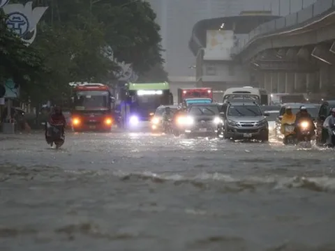 Công ty phụ trách thoát nước cho thành phố Hà Nội kinh doanh thế nào: Tuổi đời hơn nửa thế kỷ, doanh thu gần 447 tỷ đồng