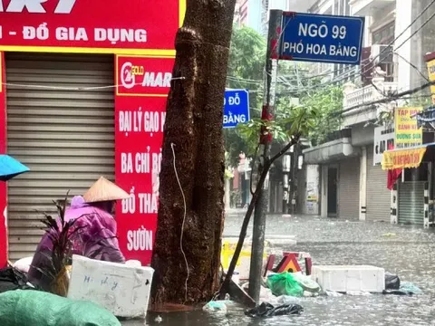 Cách nào để tránh bị ghẻ, nấm da sau đợt mưa lũ?
