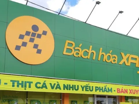 Bách Hóa Xanh của đại gia Nguyễn Đức Tài "rục rịch" tuyển quân tại Ninh Bình, chuẩn bị kế hoạch Bắc tiến