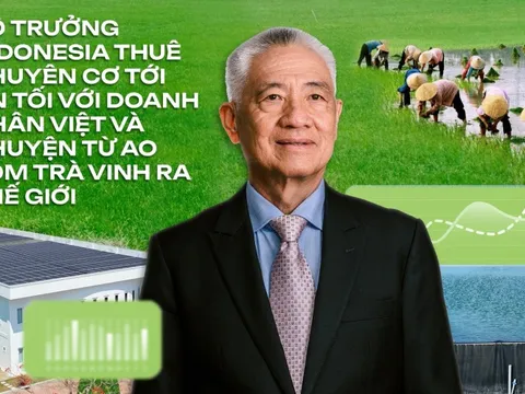 Doanh nhân Việt chọn trở về làm "kẻ khờ khạo": Biết nông dân sẽ thua mà không giúp được, đau lắm chứ!