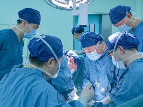 Trung Quốc đạt bước đột phá trong ghép tạng: Gan lợn hoạt động trong cơ thể người