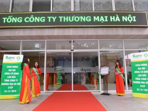 Doanh nghiệp lỗ lũy kế 56 tỷ bỏ tiền mua cổ phần công ty giá 609.000 đồng/cp