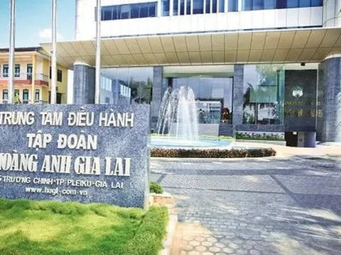 HAGL chuyển đổi 300 tỷ đồng nợ thành vốn góp tại Hưng Thắng Lợi Gia Lai