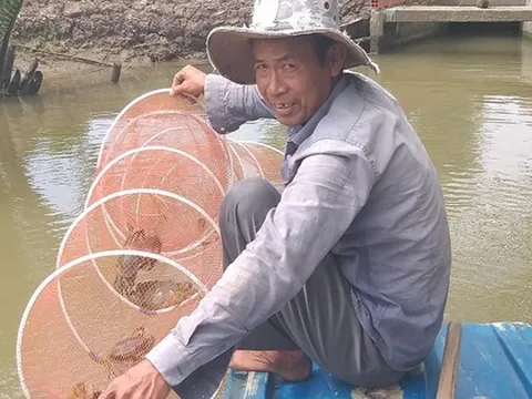 Miền Tây: Cua biển cột bằng dây nilon giá 450.000 đồng/kg