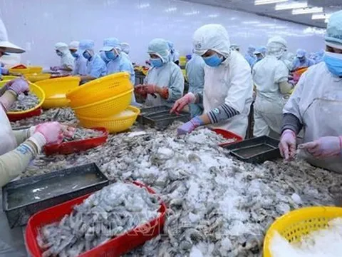 Tổng Giám đốc một công ty thủy sản lớn xin nghỉ việc vì "cảm thấy năng lực không còn đáp ứng được"