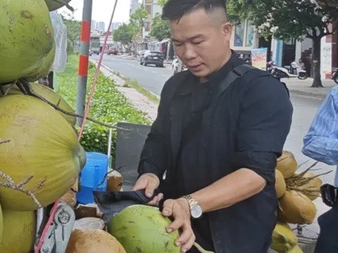 Xuất khẩu dừa tươi nhìn từ bài học sầu riêng, thanh long