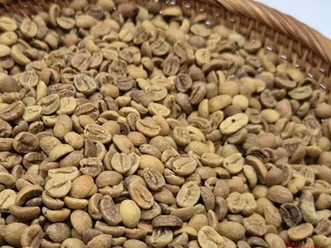 Giá cà phê hôm nay 18-10: Robusta hạ nhiệt