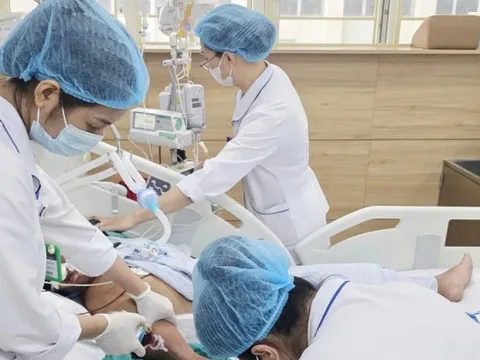 Bị rắn hổ mang cắn, nam bệnh nhân 34 tuổi tử vong vì bỏ qua ‘giờ vàng’ cấp cứu