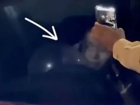 Danh tính nữ ca sĩ ở Đà Nẵng bị xử phạt vì lái xe không có bằng lái, hút ‘bóng cười’ trước mặt CSGT