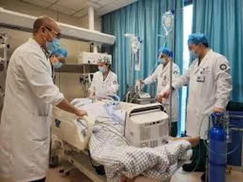 6 người bị “hỏng thận” nặng sau khi ăn 1 loại "rau trường thọ”: Bác sĩ khuyên chớ nên chủ quan kẻo rước bệnh vào người