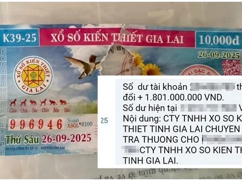 Tờ vé số trúng độc đắc bị rách ở Quảng Ngãi: Tổng số tiền công ty xổ số vừa trả thưởng