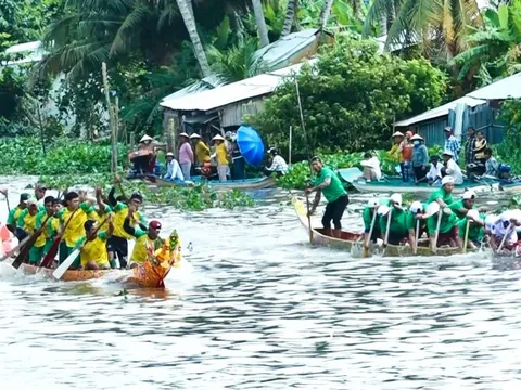 Chạy vỏ lãi xem đua ghe ngo mini ở An Giang