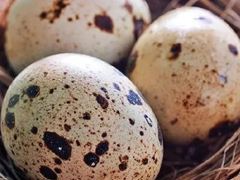 Khuyên thật: Đi chợ mua trứng nhớ 5 bí quyết này, trứng ngon, để được lâu
