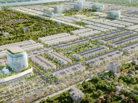 Xây dựng Ngân Thuận nợ gần 635 tỷ đồng tiền thuế, ông chủ đứng sau là ai?