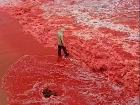 Sau trận mưa kỳ lạ, bãi biển bất ngờ nhuộm đỏ như máu, cơ quan lữ hành nói: Liên quan tới tên gọi nơi này