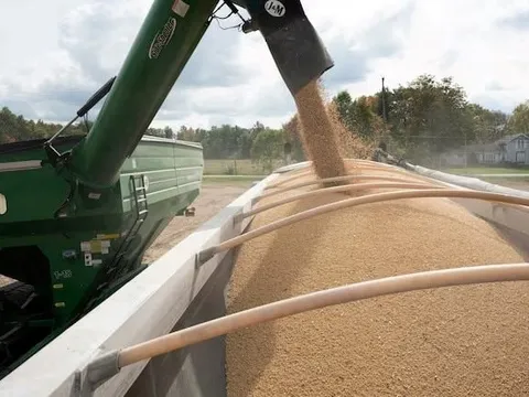 Căng thẳng thương mại tạm lắng, Trung Quốc nối lại nhập khẩu mặt hàng tỷ USD của Mỹ sau hơn nửa năm ‘quay lưng’