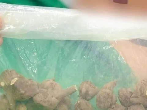 Sắc 5 củ ấu tẩu uống chữa đau khớp, cụ bà sốc tim suýt tử vong