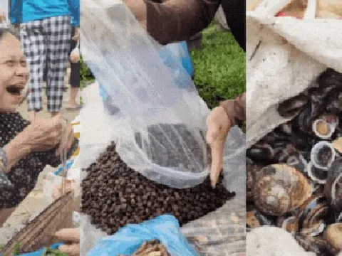 Nông sản độc lạ ở chợ phiên vùng cao: Không chỉ có măng khô, cua đá, đuông cọ... mà còn có cả "vàng đen" Tây Bắc