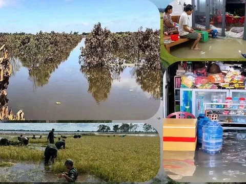 Khi mùa nước nổi không còn là “mùa lộc trời”