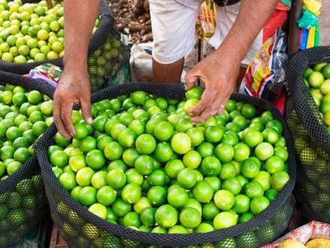 Loại quả bán đầy ở chợ Việt Nam giá cực rẻ - Sang trời Tây bỗng thành hàng hot, được các 'đại gia dầu mỏ' tranh mua như đặc sản