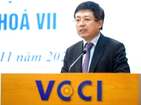 Ông Hồ Sỹ Hùng được bầu làm Chủ tịch VCCI