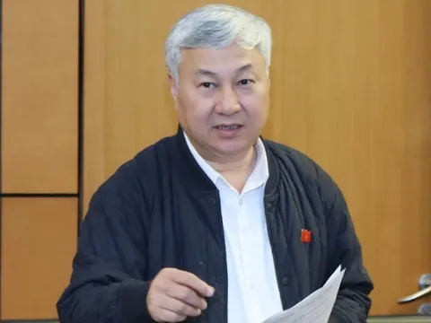 Đại biểu cho rằng áp thuế theo tỉ lệ doanh thu, hộ kinh doanh nhỏ lẻ thiệt thòi