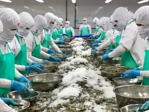 Kim ngạch xuất khẩu sẽ phá kỷ lục?