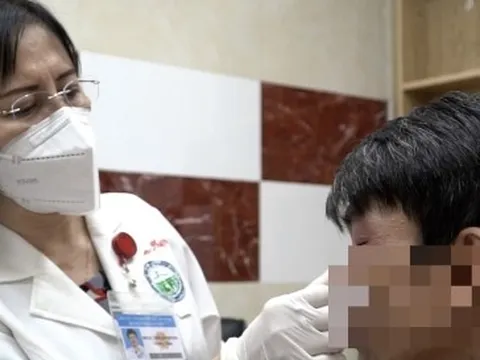 Kiến ba khoang lại tấn công người TP.HCM, bác sĩ cảnh báo chữa trị bằng 'mẹo'