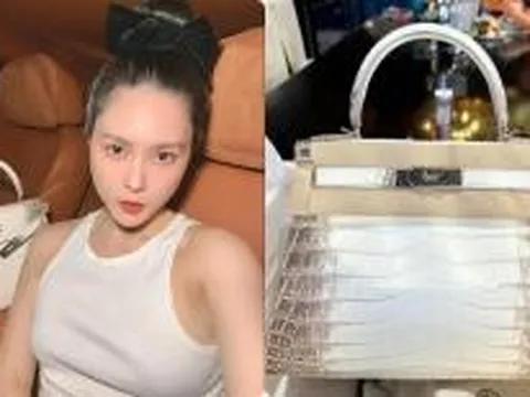 Chiếc túi hơn 2 tỷ 'có tiền cũng không mua được' của Đoàn Di Băng