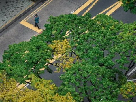 Bài toán 1,3 ngàn tỉ USD của Liên hợp quốc