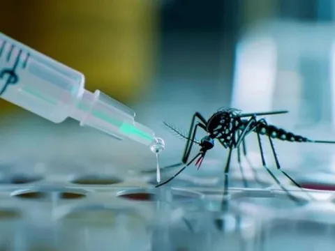 Thử nghiệm vắc xin phòng sốt xuất huyết mới, kỳ vọng chặn đứng dịch bệnh