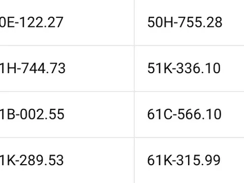 Loạt xe vượt đèn đỏ có biển số sau nhanh chóng nộp phạt nguội theo Nghị định 168