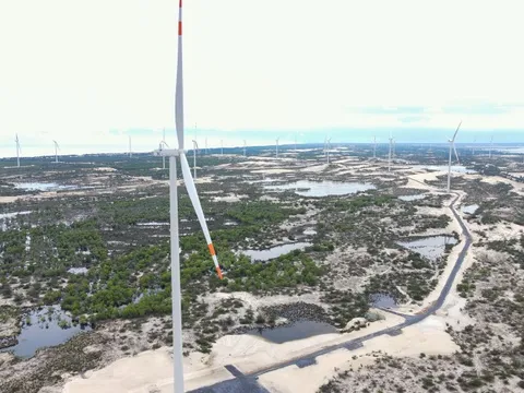 Vingroup quan tâm dự án điện gió 9.100 tỉ đồng tại Quảng Trị